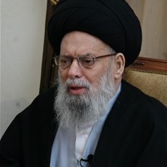 السيد فضل الله لوكالة "إيسنا" الإيرانية: أوباما لا يملك السلطة المطلقة في إقامة حوار مع إيران، لأن أمريكا دولة مؤسّسات