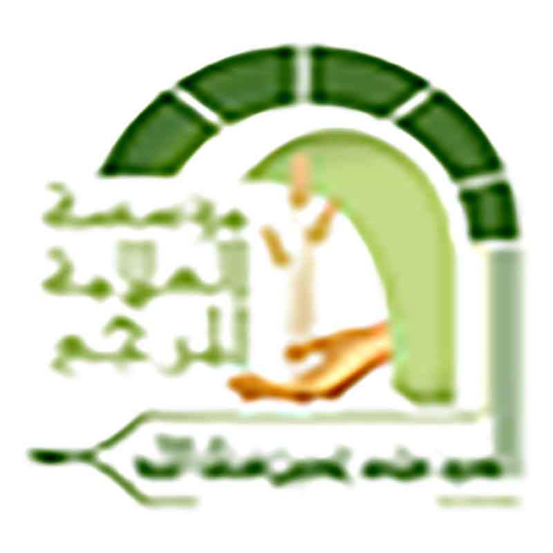 Sayyed fadlallah institution