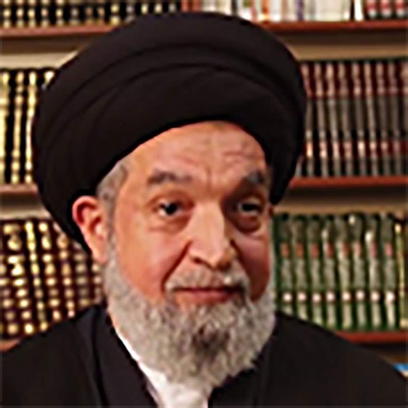 سماحة العلامة السيد حسن النوري