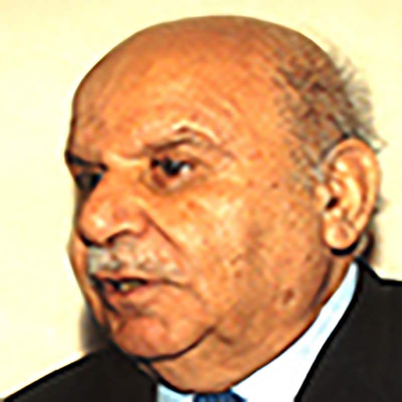 الوزير محسن دلول 