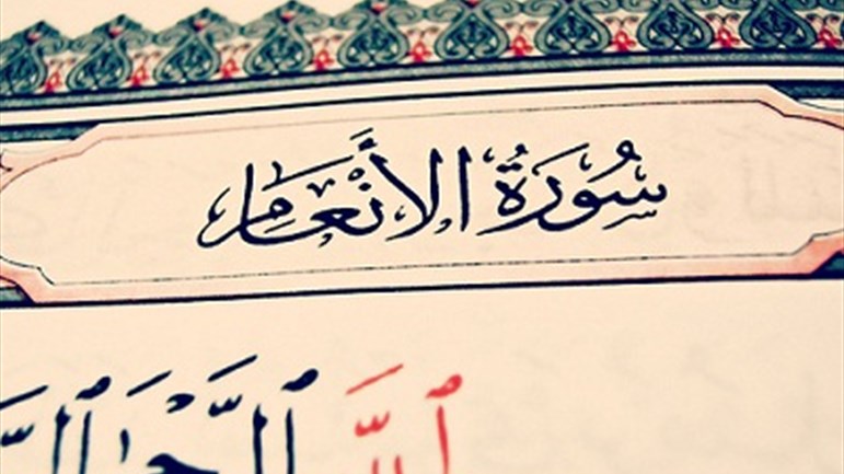 في أجواء سورة الأنعام المباركة