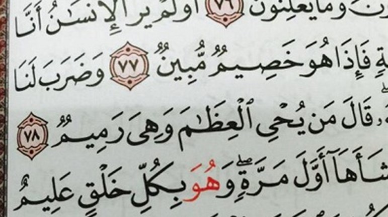 كيف يستدلّ القرآن على المعاد؟