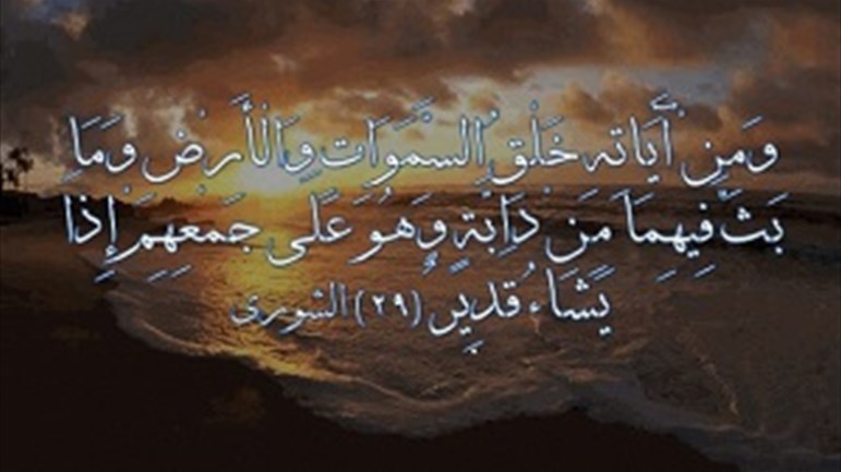 ما معنى دابّة السّماء؟!