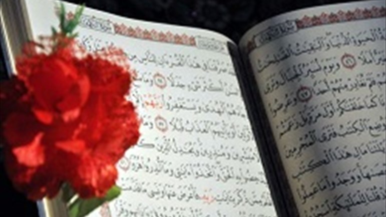 معنى (التابوت فيه سكينة)؟!