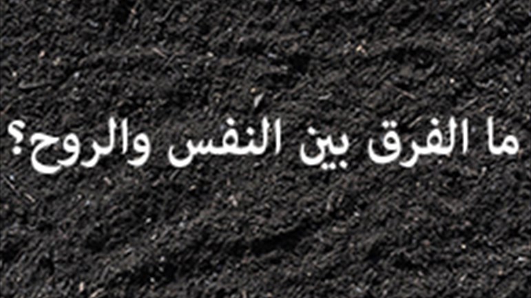 ما الفرق بين النفس والروح؟