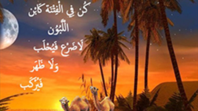 معنى "كن في الفتنة كابن اللّبون"
