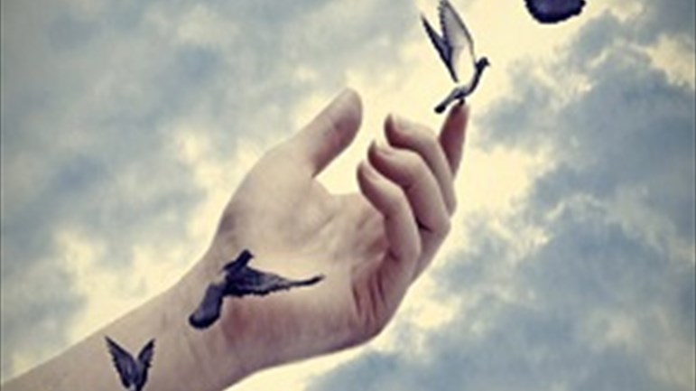 معنى الحريّة وحدودها
