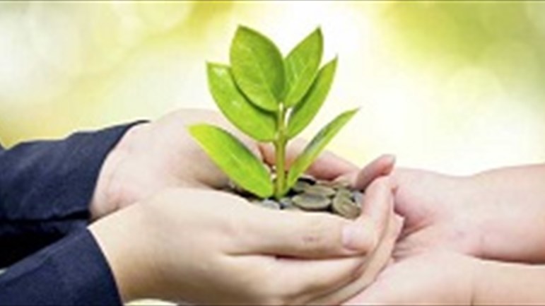 هل الرّزق صدفة أو قدر؟