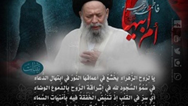 السيِّد فضل الله وقراءته لشخصيّة الزهراء الرساليّة