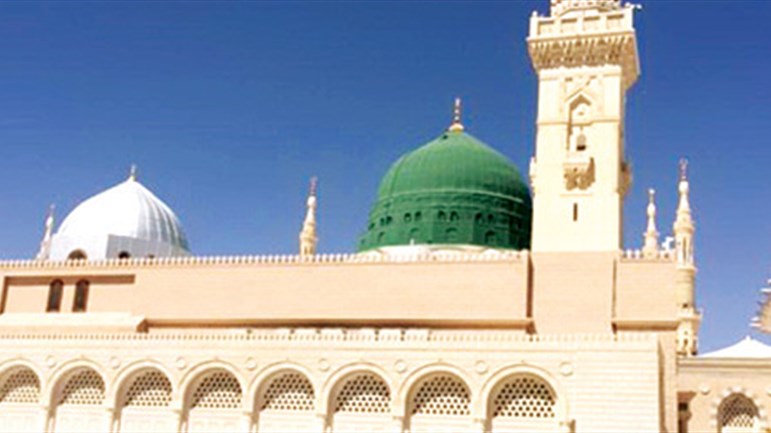 دور الرسول(ص) الشّهادة على الأمّة