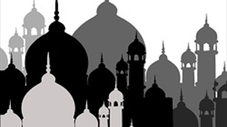 الوحدة الإسلاميّة لمواجهة التحجّر والتخلّف