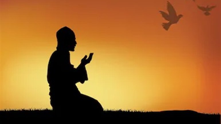 المراقبة والمحاسبة