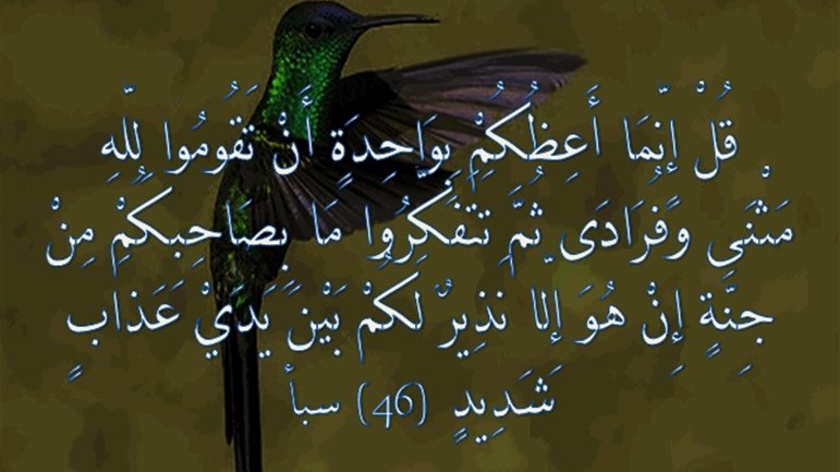 معنى قوله تعالى: {قل إنما أعظكم بواحدةٍ}