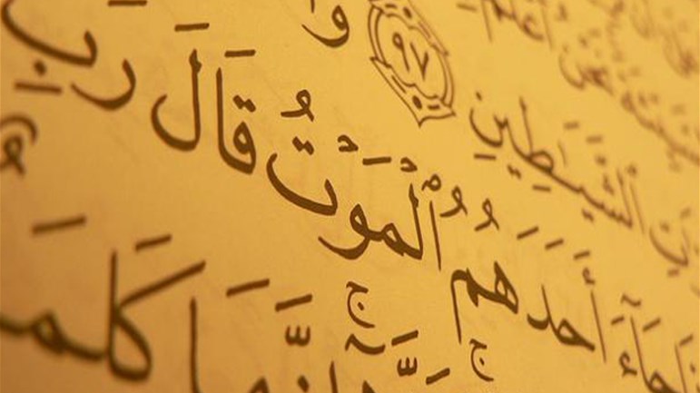 الشّماتة بالموت!؟