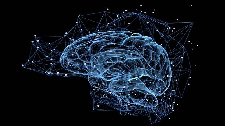 The value of the mind in our life 