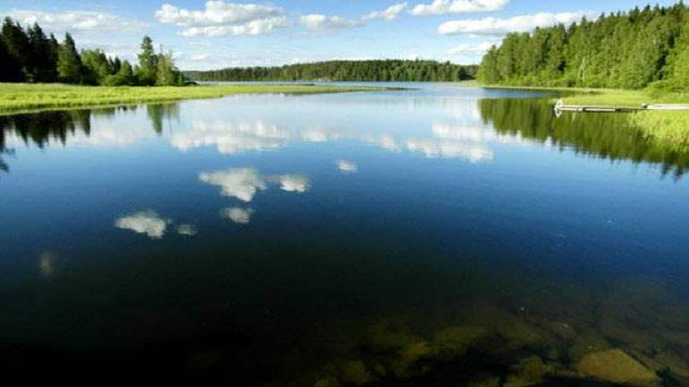 "Let there be No Compulsion in Religion": Its Sense and Signification 