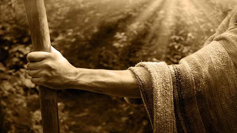 Prophets' Children between Faith and Deviation 