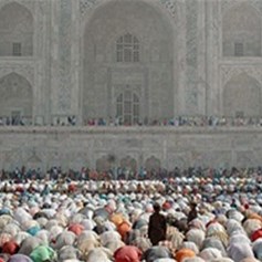 العمل السياسي في الإسلام