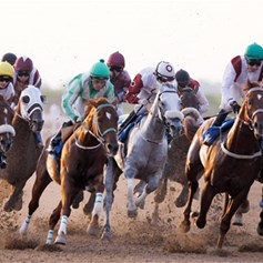 هل تؤثّر مسابقات ركوب الخيل في تديّني؟