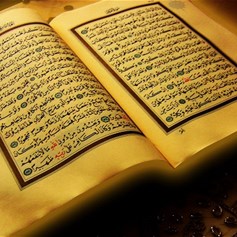 القرآن واستلهام القواعد الفقهيّة
