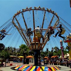 كيف نعيش فرحة العيد؟!