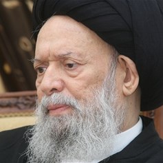 ماذا فقدت النَّجف برحيل العلامة محمّد حسين فضل الله؟