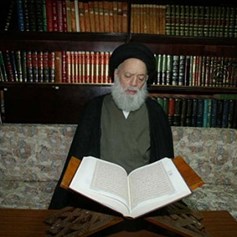 هل يصحّ لابنتي تقليد المرجع فضل الله(رض) ابتداءً؟!