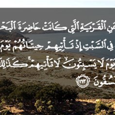القرية الّتي كانت حاضرة البحر..