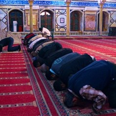 المذهب ليس هدفاً..