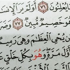 كيف يستدلّ القرآن على المعاد؟
