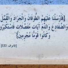 "فأرسلنا عليهم الطوفان والجراد والقمّل والضّفادع"..