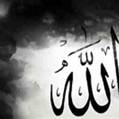 تشهد لله مظاهر الوجود