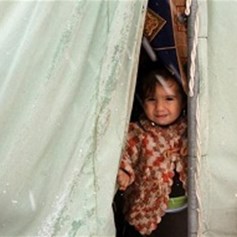 لعدم استغلال المعاناة...
