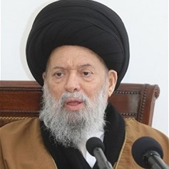 المرجع فضل الله(رض): إسرائيل تمثّل الخطيئة الغربيّة الأكثر وحشيّة في التاريخ الحديث