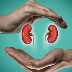 مريض الكلى في شهر الصّيام