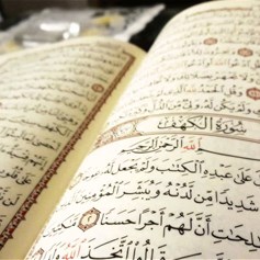 معنى "وإن منكم إلّا واردها"