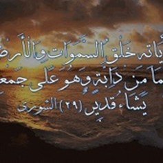 ما معنى دابّة السّماء؟!