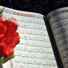 معنى (التابوت فيه سكينة)؟!