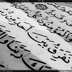 التفضيل بين الرّسل؟!
