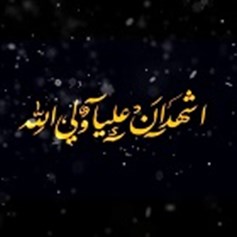 ما معنى (وليّ الله)؟