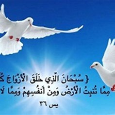 الله تعالى خلق الأزواج كلّها