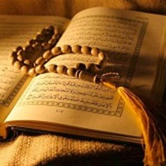 فقدان الثقافة القرآنية