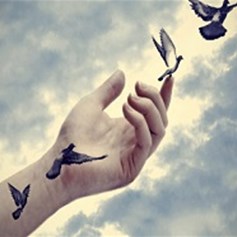 معنى الحريّة وحدودها
