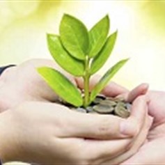 هل الرّزق صدفة أو قدر؟