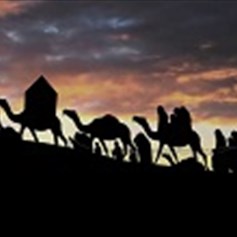 وصول موكب السبايا إلى المدينةوصول موكب السبايا إلى المدينة