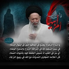 السيِّد فضل الله وقراءته لشخصيّة الزهراء الرساليّة