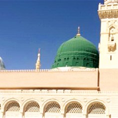 دور الرسول(ص) الشّهادة على الأمّة