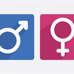 المساواة بين الجنسين مطلقة أم نسبيّة؟!