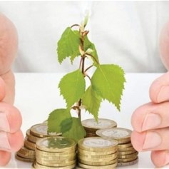 أرباب المال