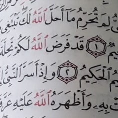 تحليل الله للنبيّ ما حرّمه على نفسه